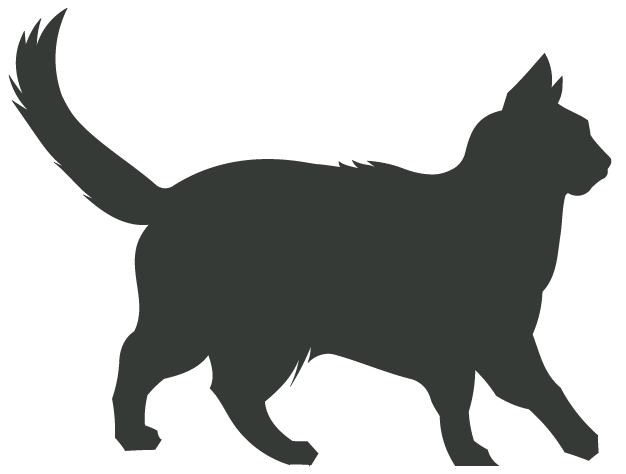 Canagan Cost for an Adult Cat