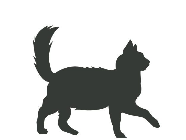 Canagan Cost for an Adult Cat