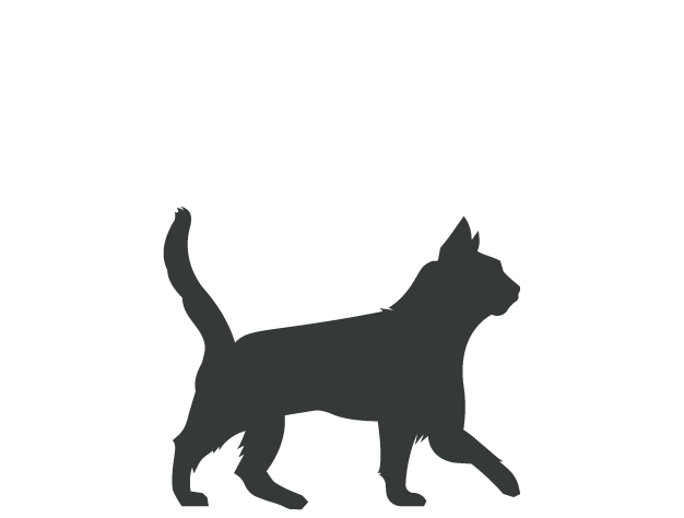Canagan Cost for an Adult Cat
