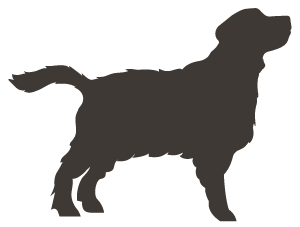 Canagan Cost for an Adult Dog