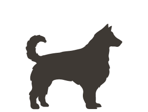 Canagan Cost for an Adult Dog