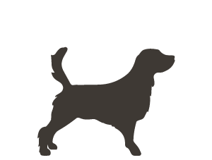 Canagan Cost for an Adult Dog
