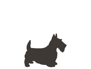 Canagan Cost for an Adult Dog