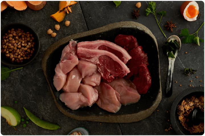 About Canagan Ingredients