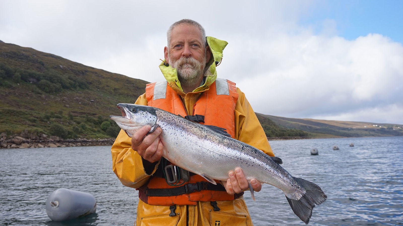 Salmon
