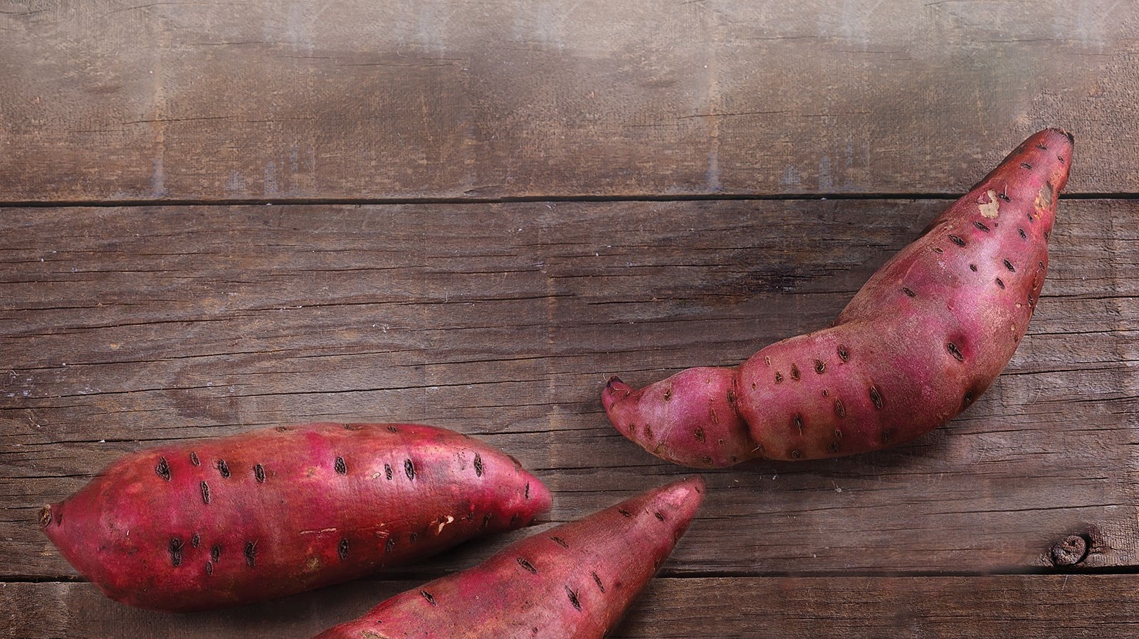 Sweet Potato